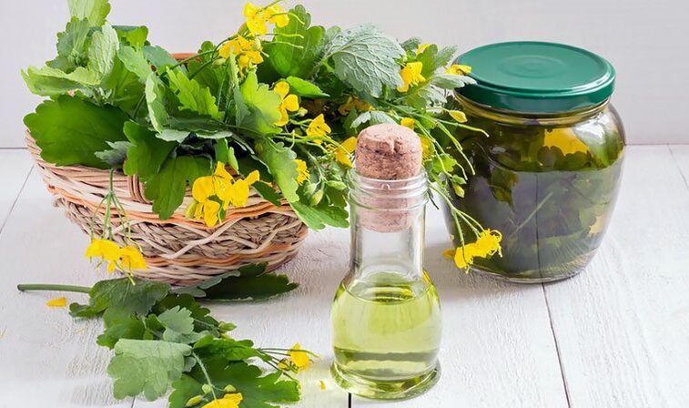 celandine tincture from nail fungus