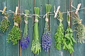 Herbs to treat toenail fungus.